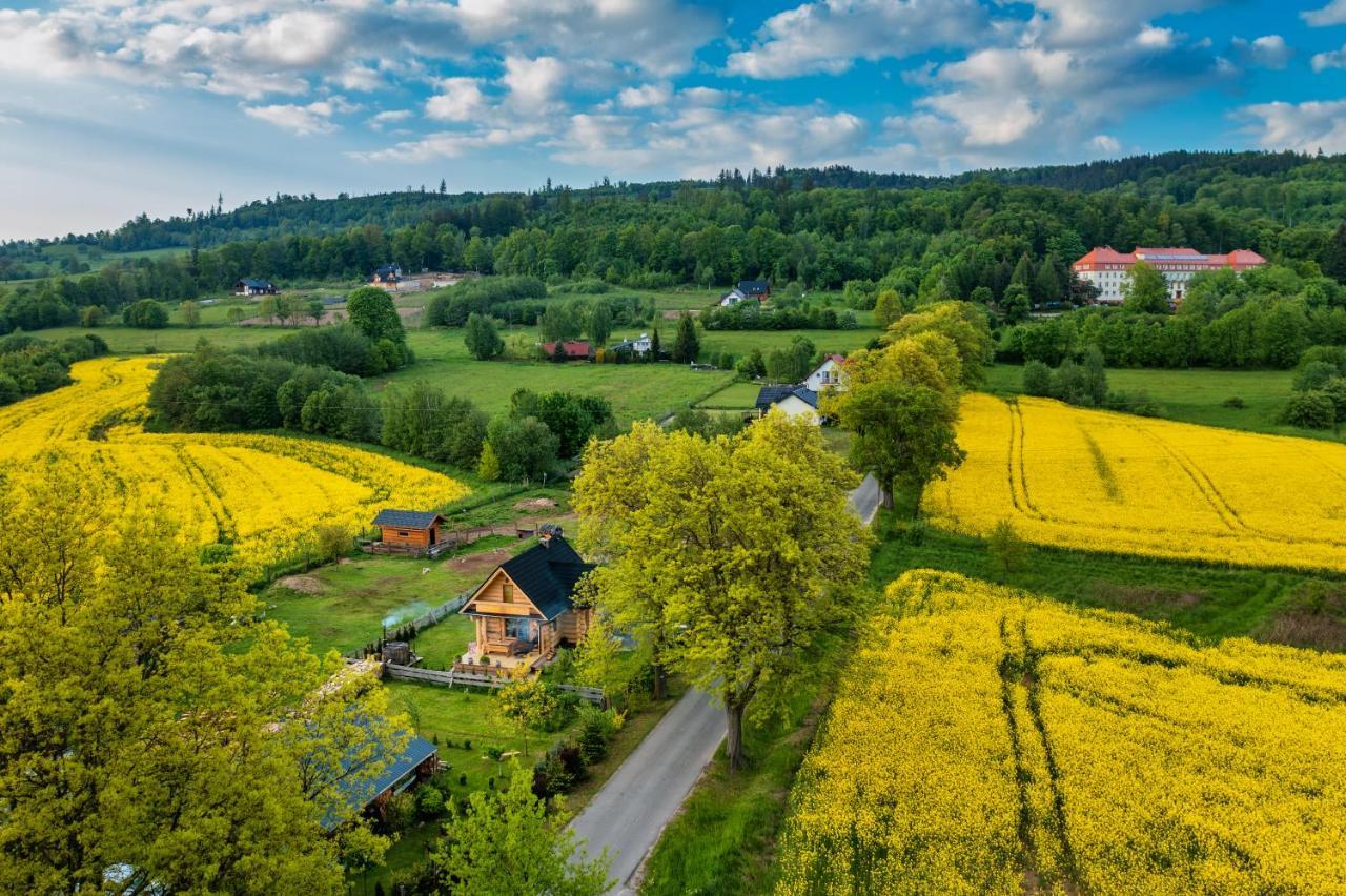 Sudecki Dym Z Kominkiem Kolo Karpacza. Agroturystyka Janowice Wielkie Eksteriør bilde