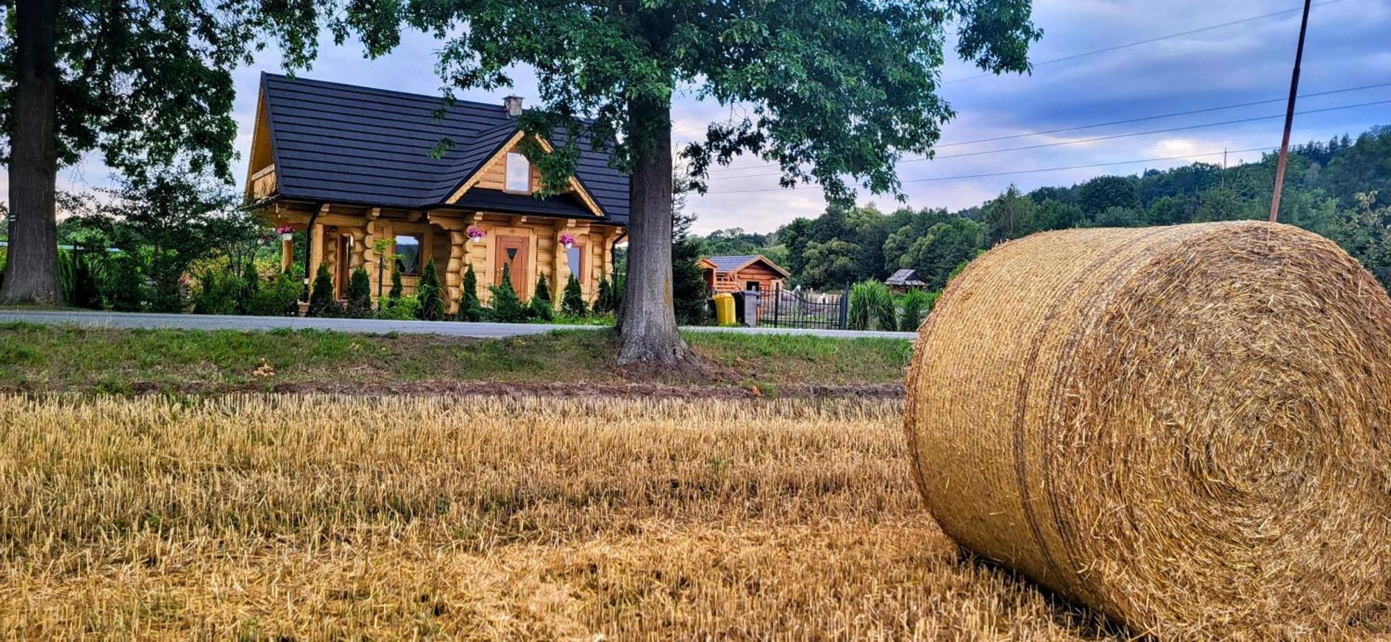 Sudecki Dym Z Kominkiem Kolo Karpacza. Agroturystyka Janowice Wielkie Eksteriør bilde